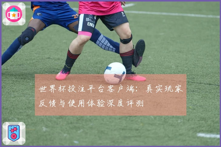 世界杯投注平台客户端：真实玩家反馈与使用体验深度评测