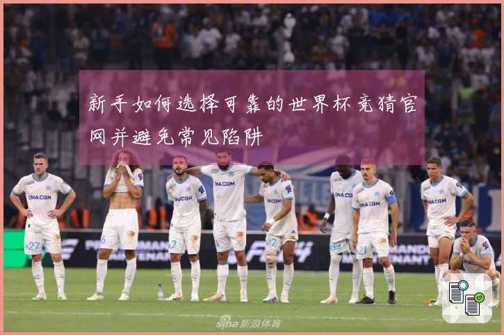 新手如何选择可靠的世界杯竞猜官网并避免常见陷阱