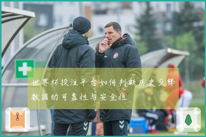 世界杯投注平台如何判断历史交锋数据的可靠性与安全性