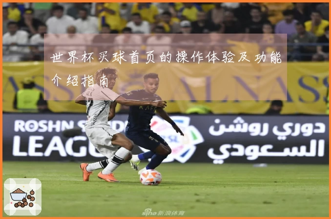 世界杯买球首页的操作体验及功能介绍指南