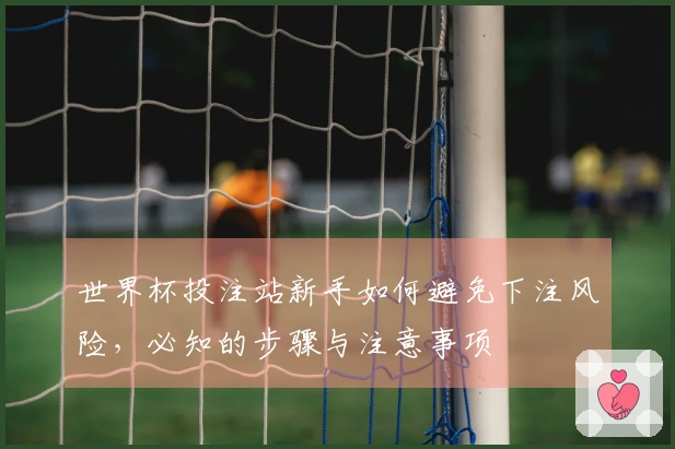 世界杯投注站新手如何避免下注风险，必知的步骤与注意事项