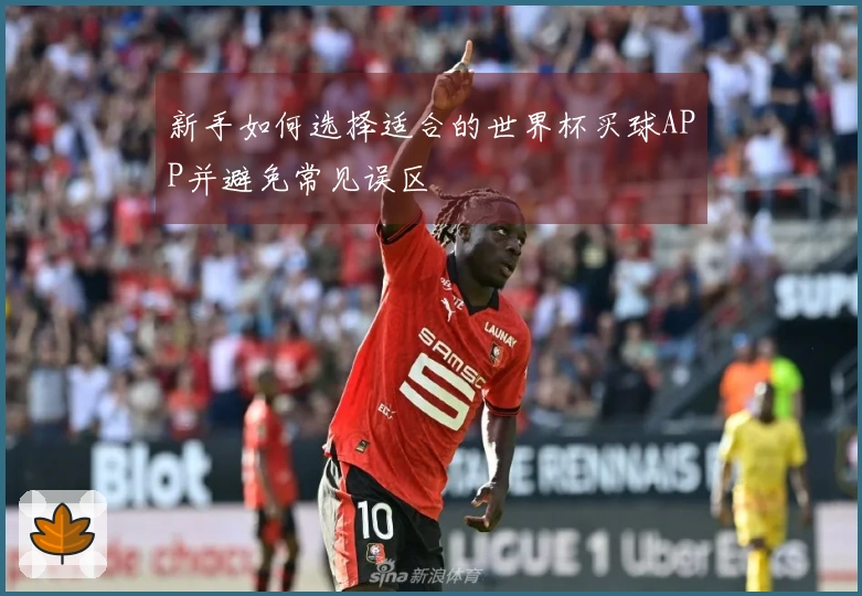 新手如何选择适合的世界杯买球APP并避免常见误区