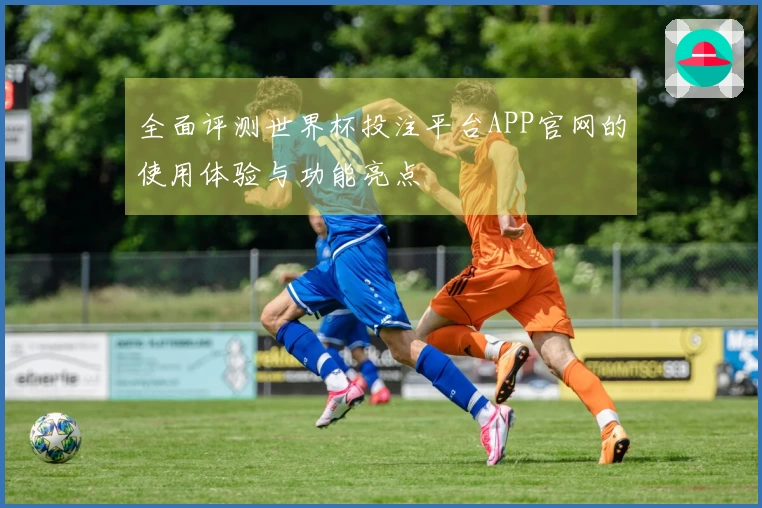 全面评测世界杯投注平台APP官网的使用体验与功能亮点