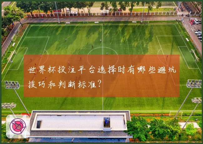 世界杯投注平台选择时有哪些避坑技巧和判断标准？