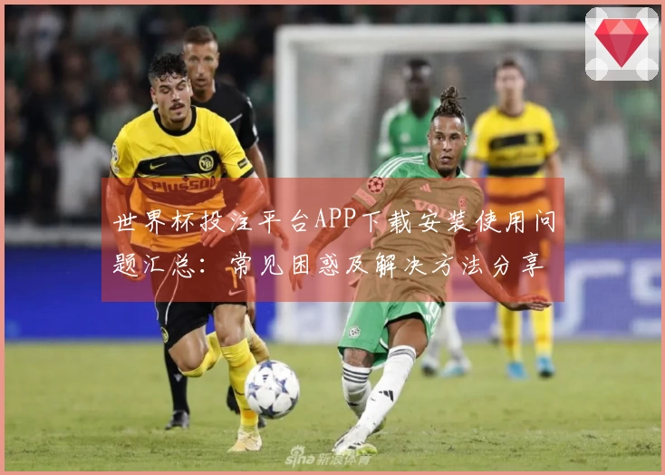世界杯投注平台APP下载安装使用问题汇总：常见困惑及解决方法分享