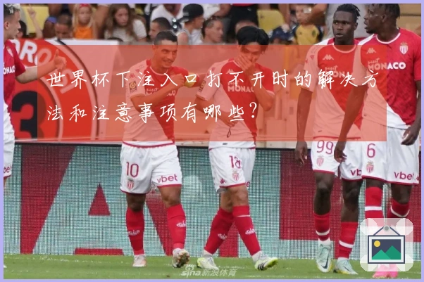 世界杯下注入口打不开时的解决方法和注意事项有哪些？
