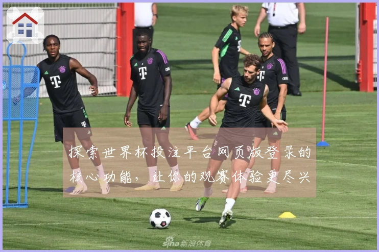 探索世界杯投注平台网页版登录的核心功能,让你的观赛体验更尽兴