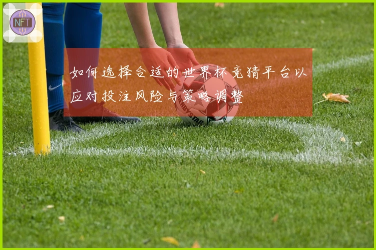 如何选择合适的世界杯竞猜平台以应对投注风险与策略调整